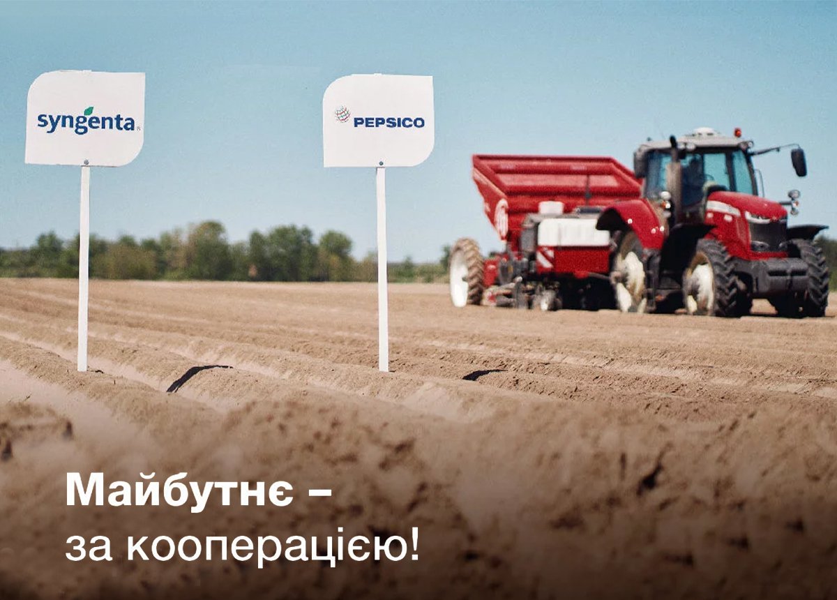 Які перспективи ринку переробки картоплі в Україні?